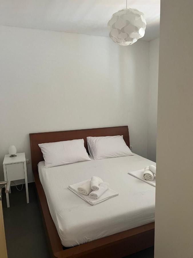Villa Paludo Novigrad  Eksteriør bilde