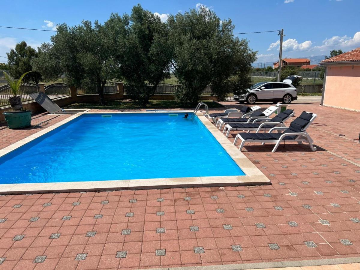 Villa Paludo Novigrad  Eksteriør bilde