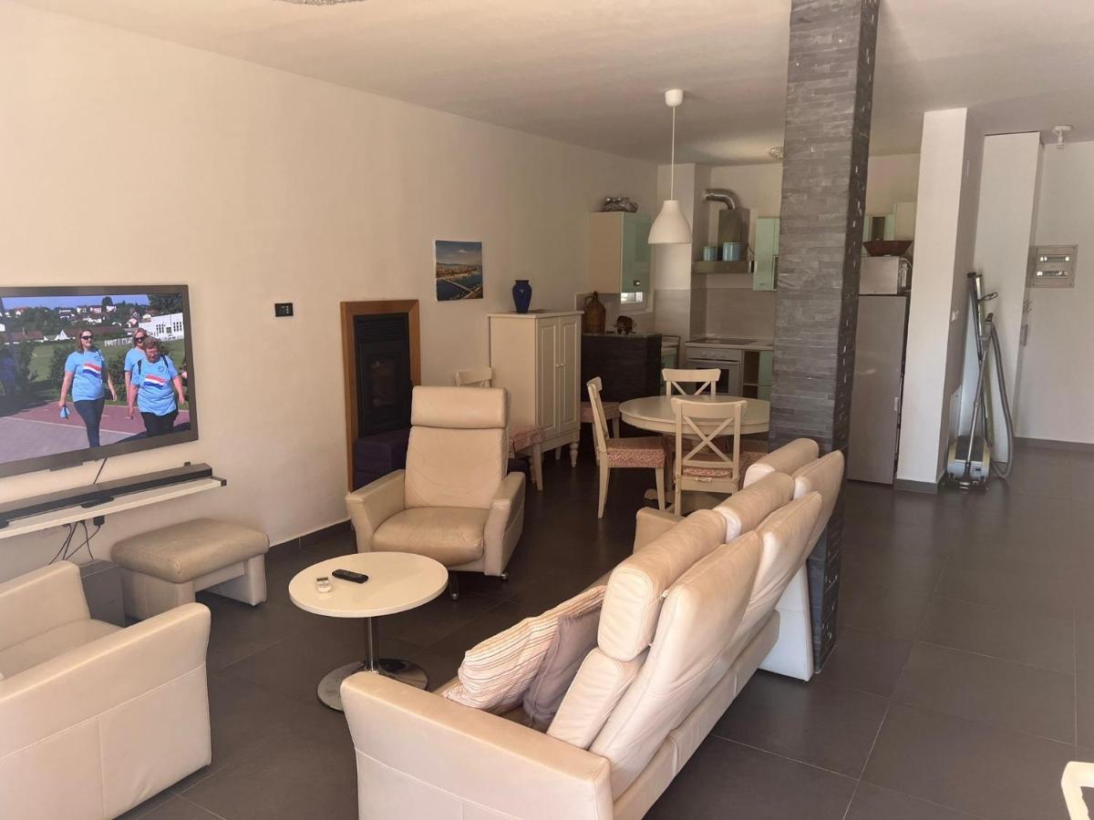Villa Paludo Novigrad  Eksteriør bilde