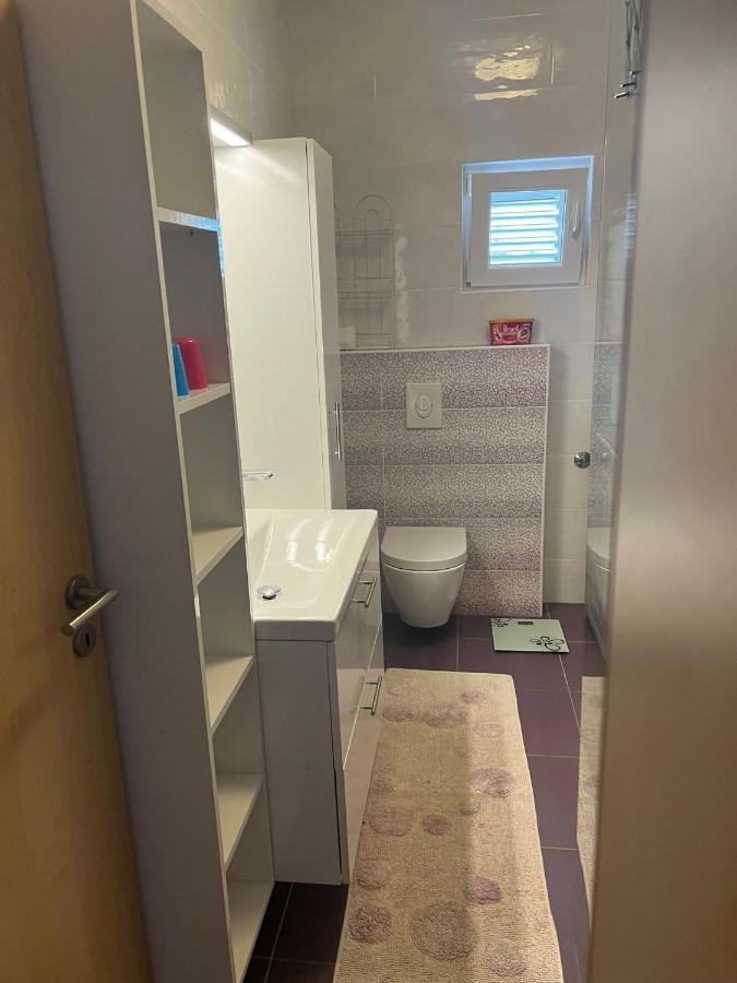 Villa Paludo Novigrad  Eksteriør bilde