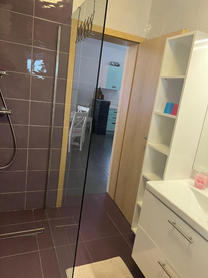 Villa Paludo Novigrad  Eksteriør bilde