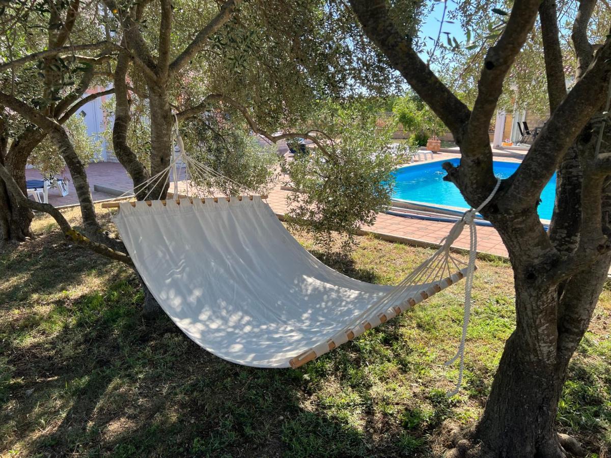 Villa Paludo Novigrad  Eksteriør bilde